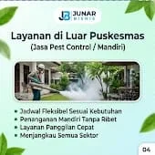 Jasa Fogging Medan | Fogging Mandiri, Nyamuk Dewasa & Konsultasi Junar Bisnis - gambar 4