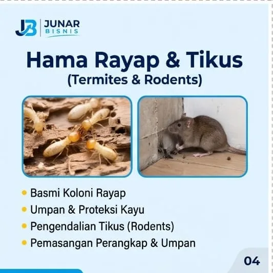 Jasa Pembasmi Hama Medan | Rayap, Tikus & Pengendalian Hama Terpadu — Junar Bisnis - gambar 3