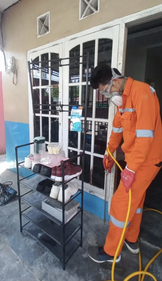 Jasa Pengendalian Hama Palembang | Pest Control, Fogging, Fumigasi & Anti Rayap - CYBERPEST PALEMBANG - gambar 8