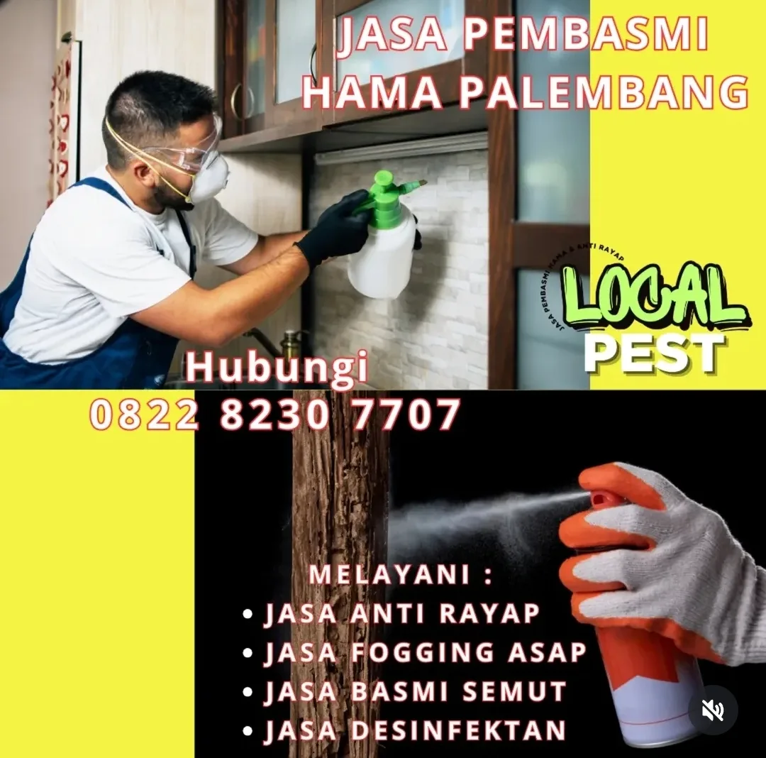 Local Pest - Jasa Pengendalian Hama Palembang | Pest Control, Fogging, Fumigasi & Anti Rayap - gambar 8